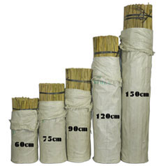 Tutores em bambu